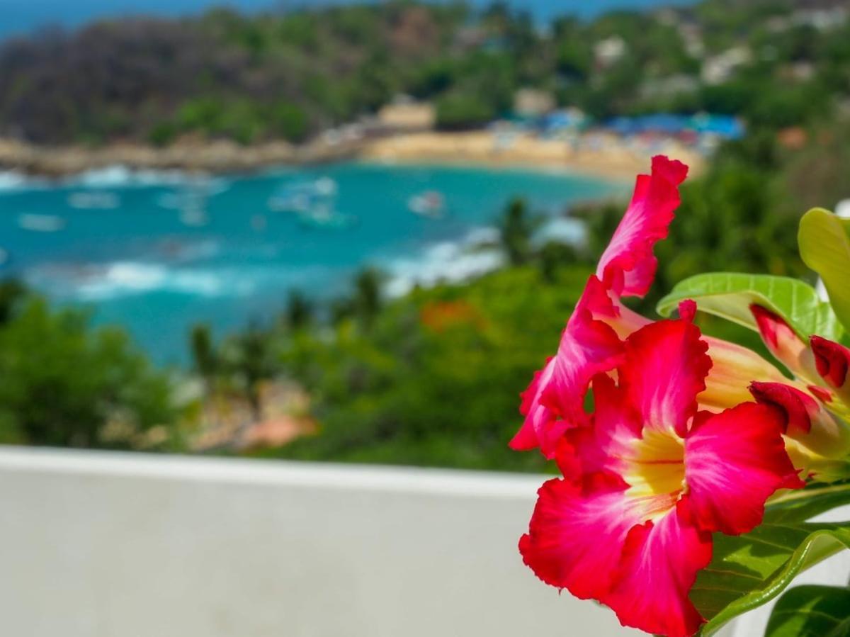 Casa Cascada - Adults Only Hotel Puerto Escondido  Luaran gambar